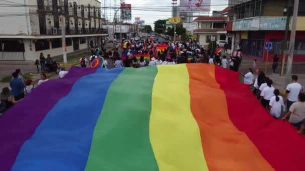 Aerial View Drone Hundreds People Parading Giant Flag Lgbt Community — 图库视频影像