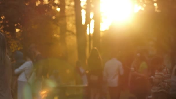 Midsummer Festival City Park People Rested Park Grass Evening Concert — Stock video