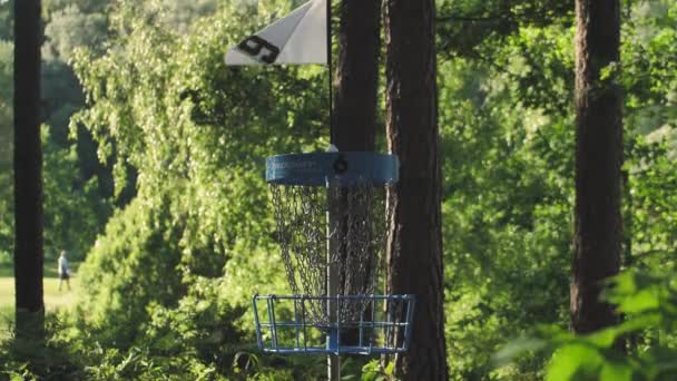 Disc Golf Carts Forest Discus Throwing Golf Disc Basket — Vídeos de Stock