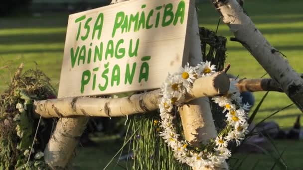 Midsummer Festival City Park People Rested Park Grass Evening Concert — Vídeo de stock