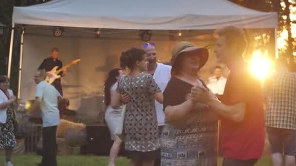 Летний Фестиваль Городском Парке Люди Отдыхали Парке Траве Вечерний Концерт — стоковое видео