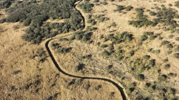 Aerial Drone Shot Beautiful Meandering River Netherlands — Wideo stockowe