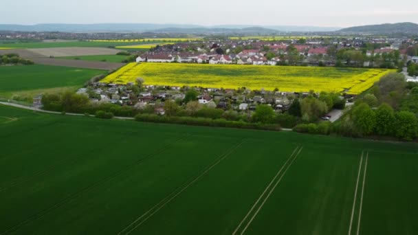 Descent Flight Rapeseed Field Residential Area — Wideo stockowe