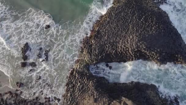 Fingal Head Causeway Rock Formation Tweed Heads New South Wales — 비디오