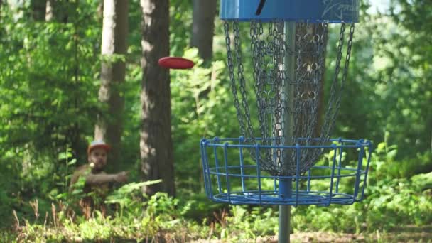 Disc Golf Carts Forest Discus Throwing Golf Disc Basket — Vídeos de Stock
