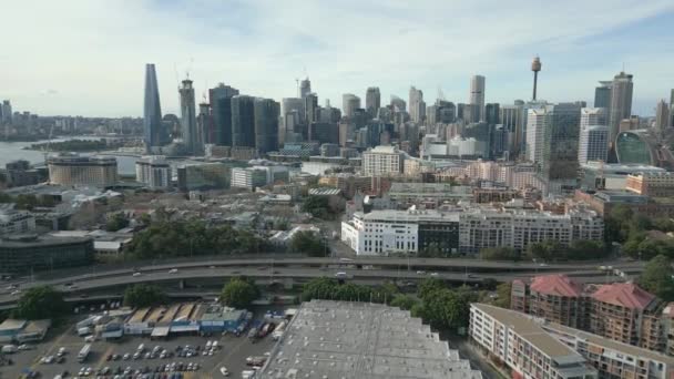 Aerial View City Sydney Cbd Famous Fish Market — 图库视频影像