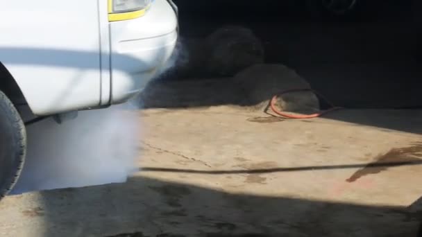 Professional Person Equipment Using Fogging Machine Insecticide Eliminate Mosquitos Aedes — Video