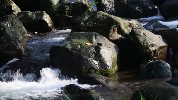 在河岸和岩石之间流淌的水的美丽景色 水的背景镜头 野生的山河流过岩石的急流 国家公园里多云的水流 — 图库视频影像