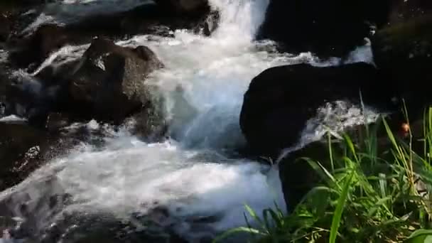 Όμορφη Θέα Του Νερού Που Ρέει Ανάμεσα Στην Όχθη Του — Αρχείο Βίντεο