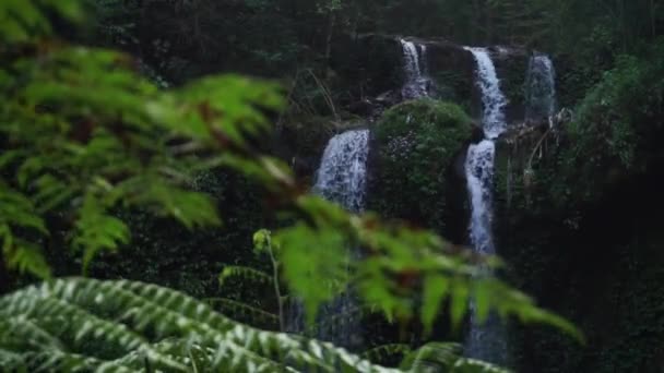 Wide Shot Cascading Waterfall Mossy Mountain Fern Leaves Foreground Defocused — Vídeo de stock