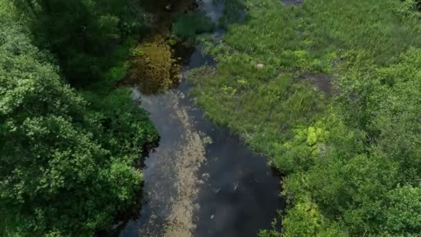 Drone Footage Nmme River Beginning Springs Ntu Estonia — Stock video