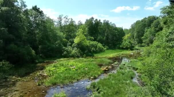 Aerial View Nmme River Beginning Springs Ntu Estonia — Stockvideo