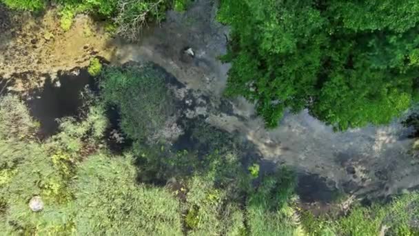 Drone View Nmme River Beginning Springs Ntu Estonia — Vídeo de stock