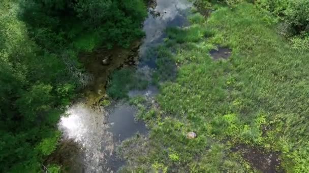 Drone View Nmme River Beginning Springs Ntu Estonia — Vídeo de Stock