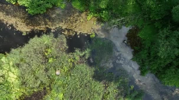 Aerial View Nmme River Beginning Springs Ntu Estonia — Stockvideo