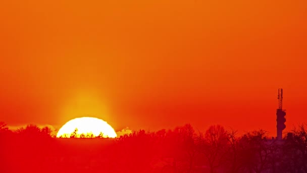Bright Sun Setting Trees Orange Sky Sunset Timelapse — стокове відео