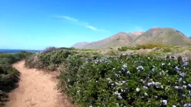 Big Sur Coastal Hiking Monterey California — Video Stock