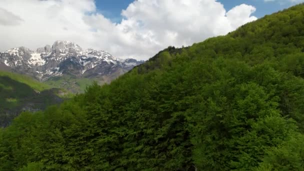 Floresta Verde Selvagem Montanhas Alpinas Dia Primavera Com Nuvens — Vídeo de Stock