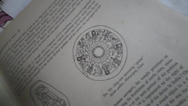 Ancient Temple Diagram Sculpture Old Book — Αρχείο Βίντεο
