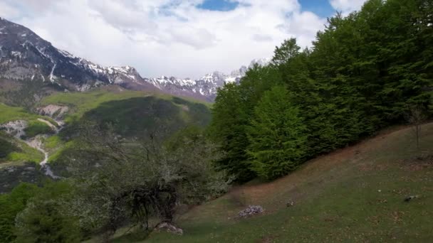 Spring Mountains Green Forests Slopes Covered Snow — Stockvideo