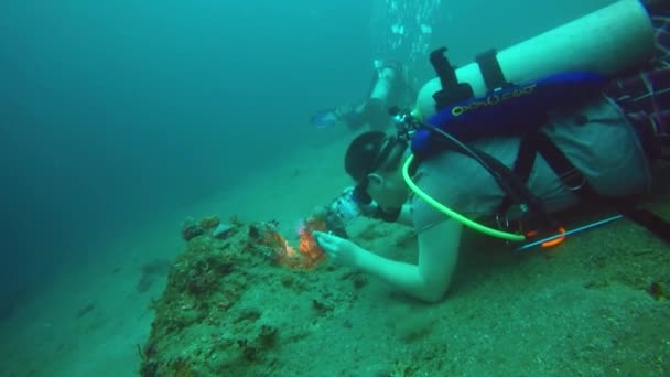 Man Scuba Diving Taking Macro Shot Photo Marine Life Underwater — 图库视频影像