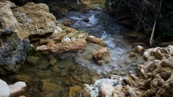 Маленький Водопад Лесу Румыния — стоковое видео