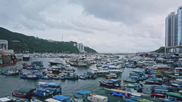 Hong Kong Daki Tayfun Barınağında Hava Manzaralı Balıkçı Tekneleri — Stok video