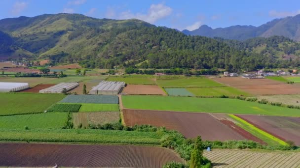 Panoramic View Agricultural Fields Organic Crops Constanza Valley Dominican Republic — ストック動画