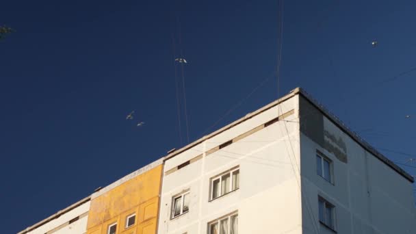 Residential Living Building Built Soviet Period Renovated Birds Fly — Stok video