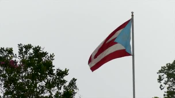 Puerto Rican Flag Blowing Wind Cloudy Day — Stockvideo