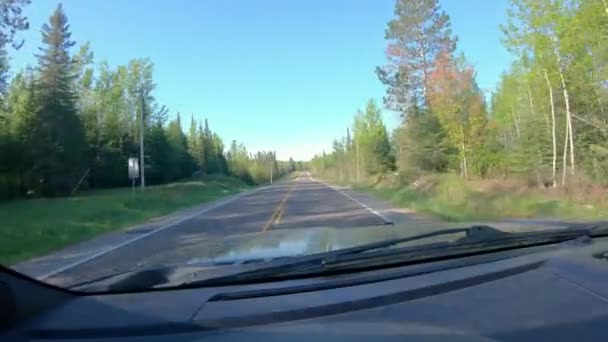 Pov While Driving Narrow County Road Forested Area Northern Minnesota — Stok Video