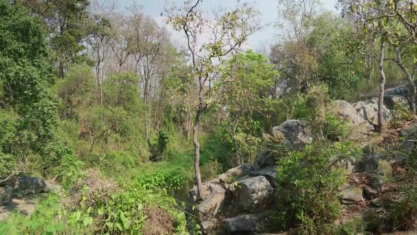 Кінематичний Характер Подорожі Кадри Водоспаду Ван Буа Бань Поруч Doi — стокове відео