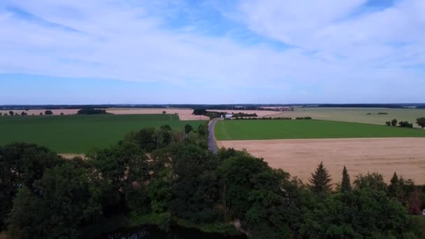 Klein Huis Aan Het Meer Het Midden Van Velden Adembenemend — Stockvideo