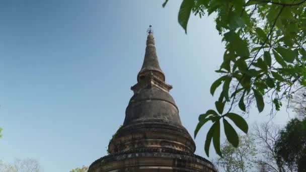 Cinematic Religious Travelling Footage Buddhist Temple Wat Umong Chiang Mai — Stock video