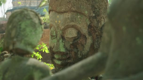 Cinematic Slow Motion Footage Ruins Buddhist Statues Wat Umong Temple — Stok video