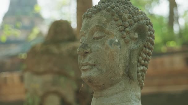 Cinematic Slow Motion Footage Ruins Buddhist Statues Wat Umong Temple — Videoclip de stoc