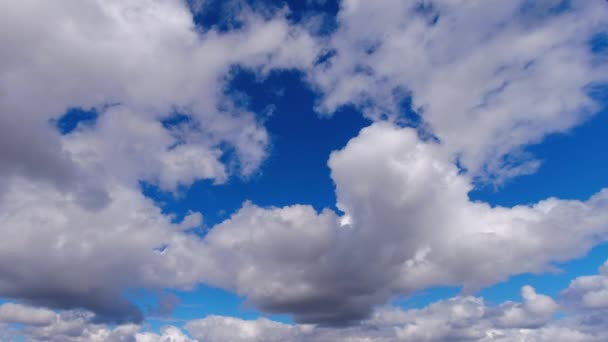 Cumulus Rain Cloud Slowly Moves Overhead Abstract Sky Timelapse — Vídeo de Stock