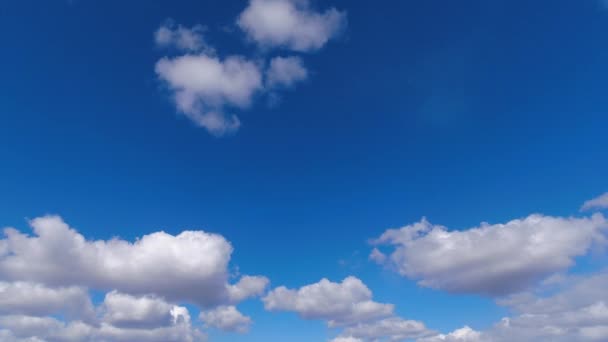 Nuvole Cumulus Gonfie Formano Viaggiano Attraverso Cielo Blu Time Lapse — Video Stock