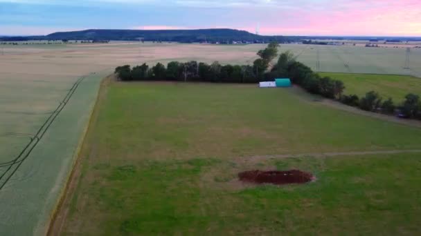 Dung Heap Meadow Cornfield Perfect Aerial View Flight Rising Drone — Stok Video