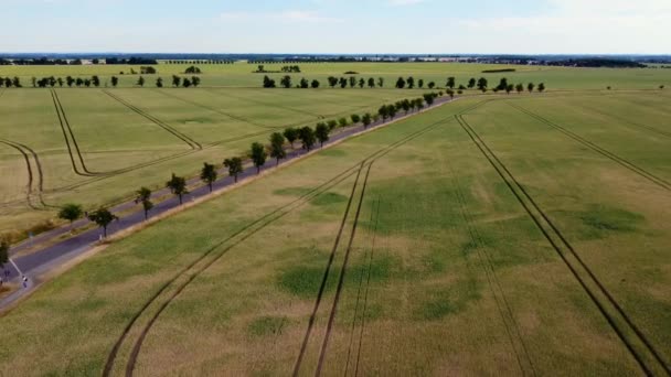 Malá Ulice Stromy Uličky Fantastické Letecký Pohled Let Létat Drone — Stock video