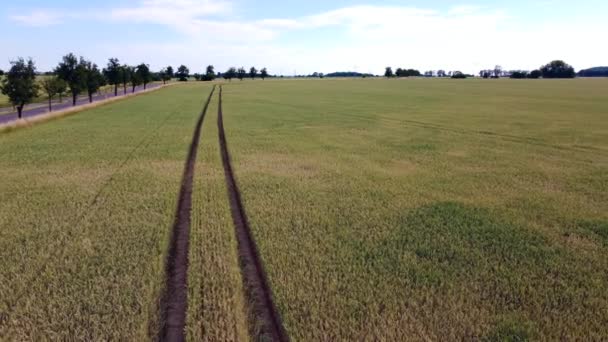 평행하게 옥수수밭을 지나는 비행은 2022 유럽의 색스니 밀밭을 배경으로 영상을 — 비디오