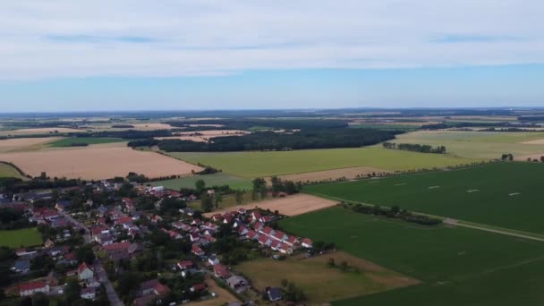 很高的视野 美妙的空中俯瞰飞行360全景概览无人机镜头麦田Cornfield在欧洲萨克森安哈尔特在2022年夏天 4K从上往下看菲利普 马尔尼茨的电影 — 图库视频影像