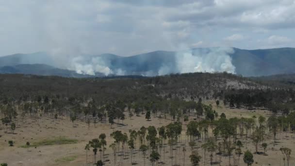 Дождевые Леса Дым Горящих Горах Квинсленда Австралии Воздушный Беспилотник — стоковое видео