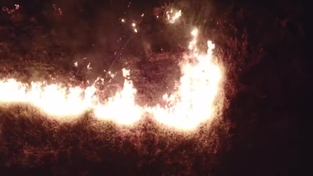 Огненное Пламя Дикого Огня Ночью Вид Воздуха Дикий Огонь Беспилотника — стоковое видео