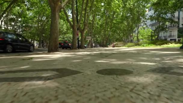 Avenida Liberdade Κατάγεται Από Passeio Publico Ένα Πάρκο Του 18Ου — Αρχείο Βίντεο