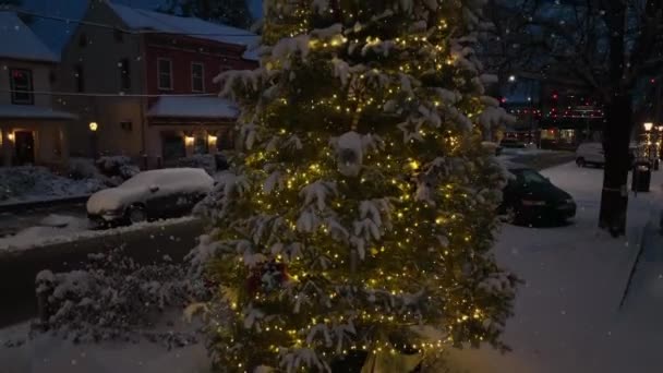 Outdoor Christmas Tree Decorated Winter Snow Snowflakes Fall Aerial Rising — Video
