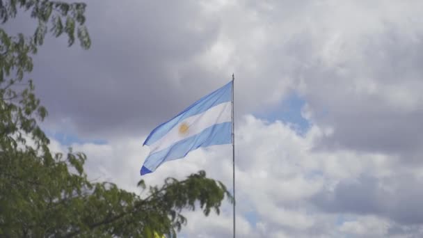 Stationary Low Angle Footage Waving Argentinian Flag Windy Day Peak — Vídeo de Stock