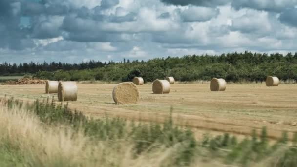 Hay Bales Neatly Arranged Field Dark Stormy Clouds Slow Motion — Video Stock