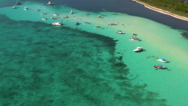 Aerial Drone Forwarding Shot Tourists Snorkeling Diving Motor Boats Sea — Vídeos de Stock
