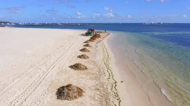 Piles Seaweed Removed Workers Beach Cleaner Machine White Sands Punta — ストック動画